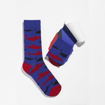 Bunte Socken Griffon Animal Box Farbe violet